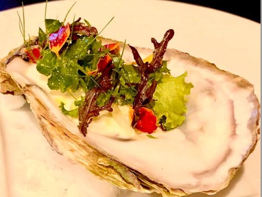 Get 5% Discount on Total Check